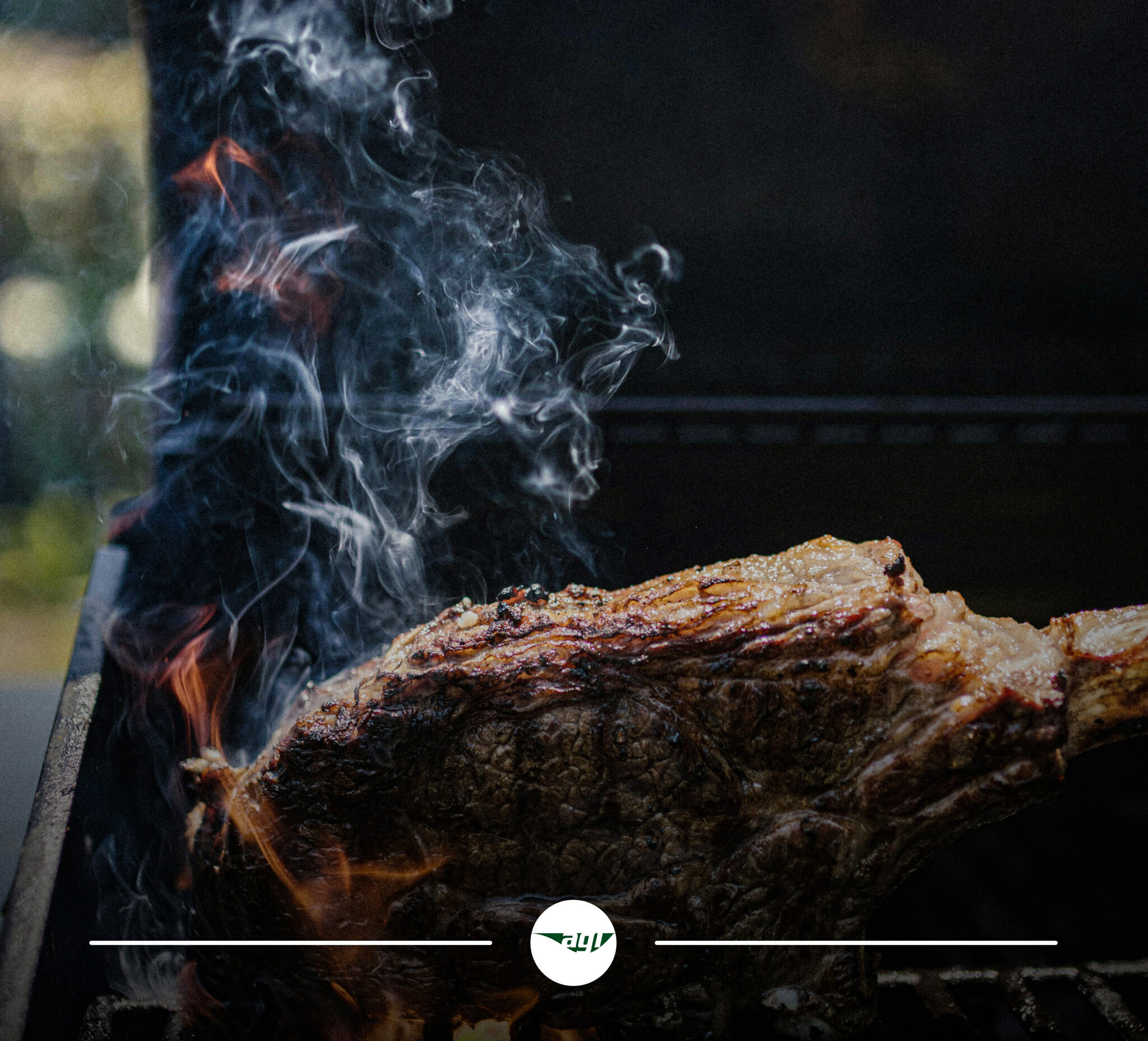 Atnosgreen BBQ Charcoal